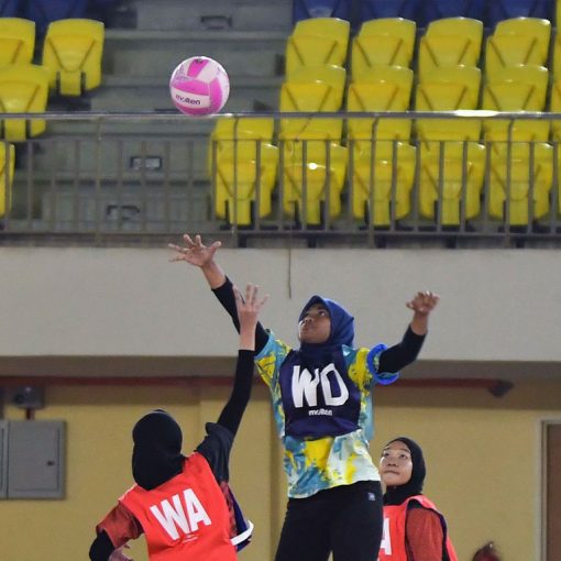 SUTERA III : Bola Jaring