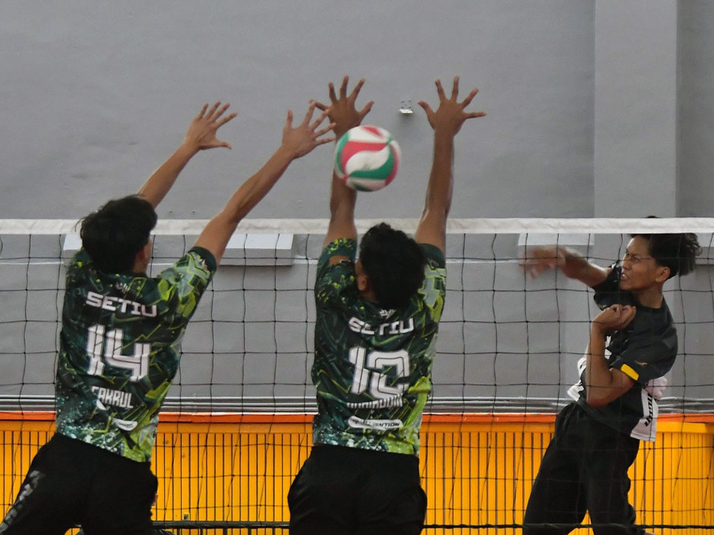 msnt images 2025 10 0059